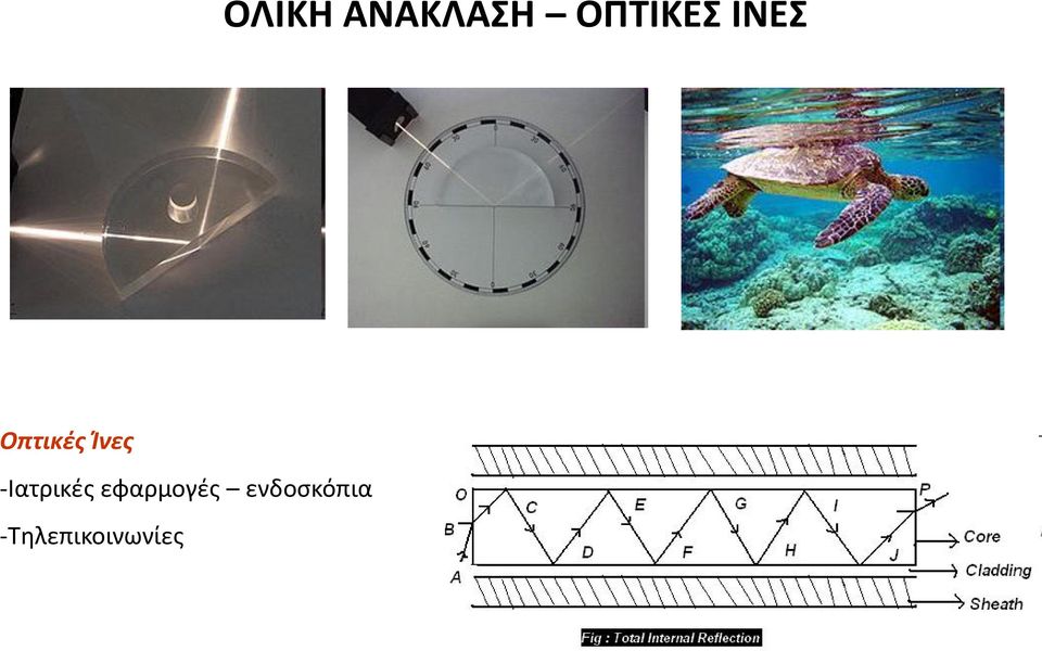 Ίνες -Ιατρικές