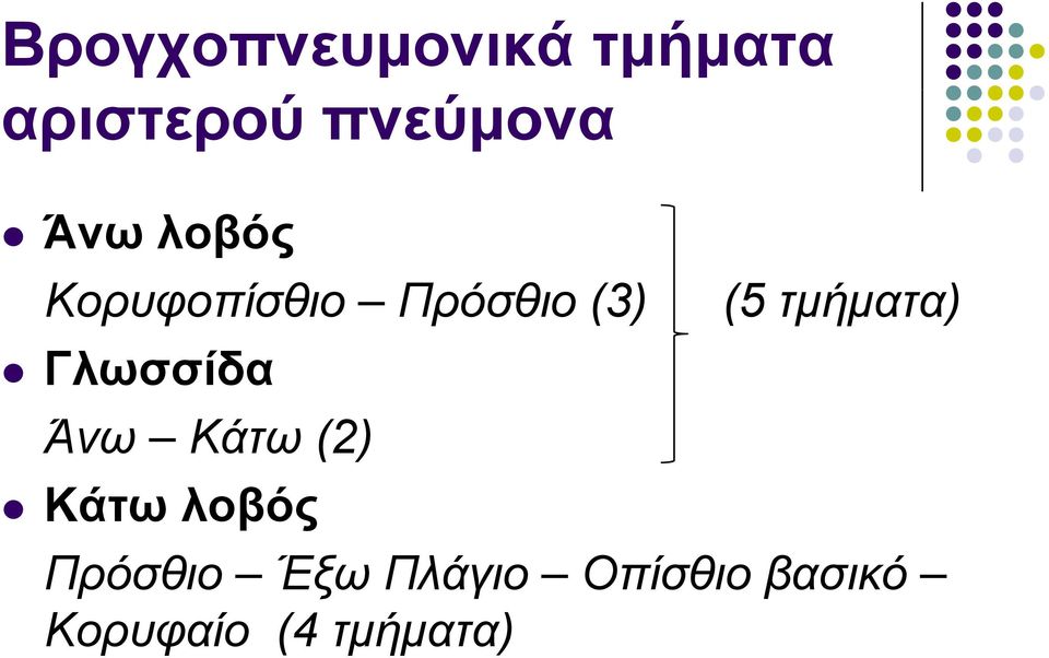 Άνω Κάτω (2) Κάτω λοβός (5 τμήματα) Πρόσθιο