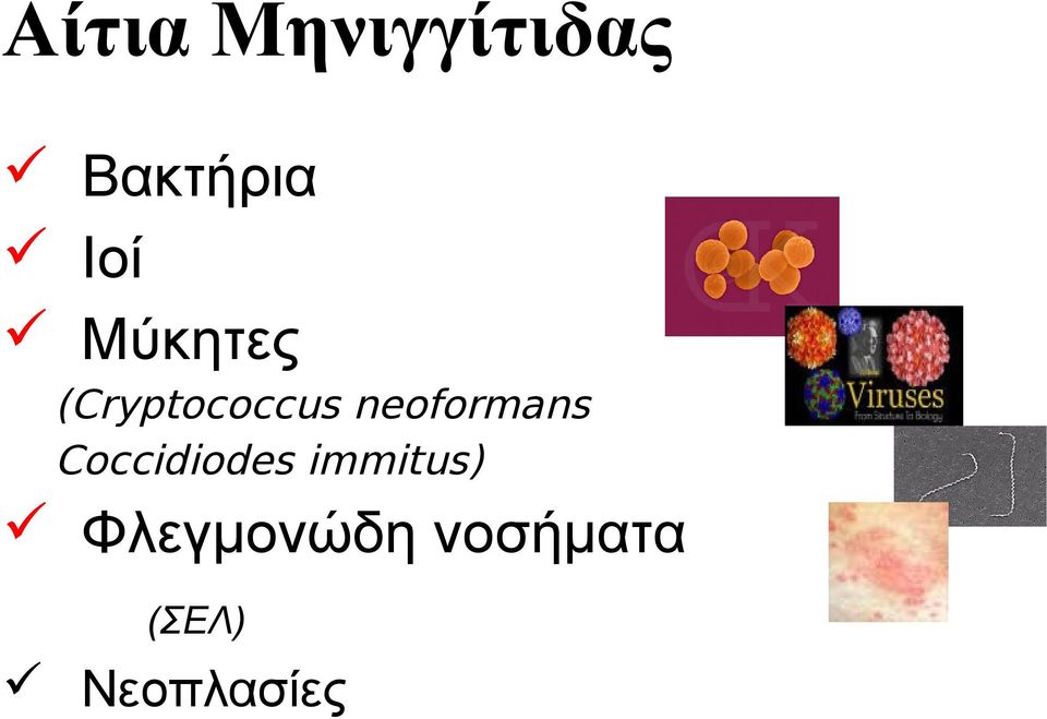 neoformans Coccidiodes