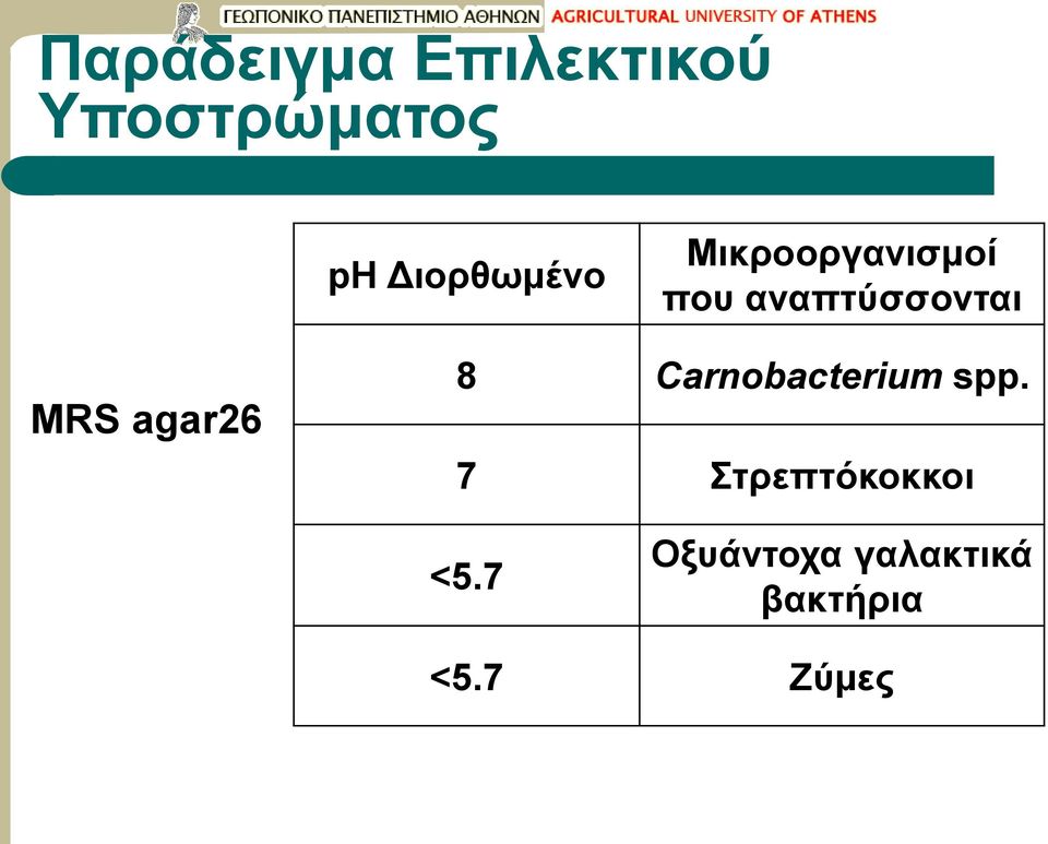 MRS agar26 8 Carnobacterium spp.