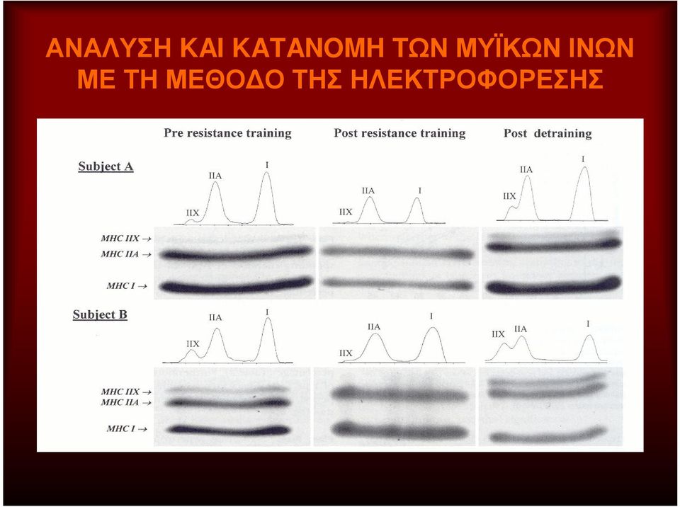 ΜΥΪΚΩΝ ΙΝΩΝ ΜΕ