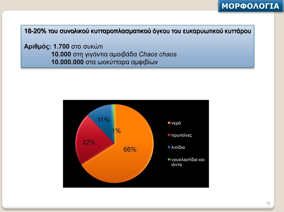 000 στη γιγάντια αμοιβάδα Chaοs chaοs 10.000.000 στα