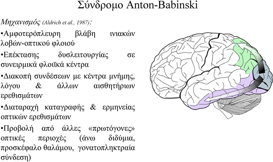 φλοιϊκά κέντρα Διακοπή συνδέσεων με κέντρα μνήμης, λόγου & άλλων αισθητήριων ερεθισμάτων Διαταραχή