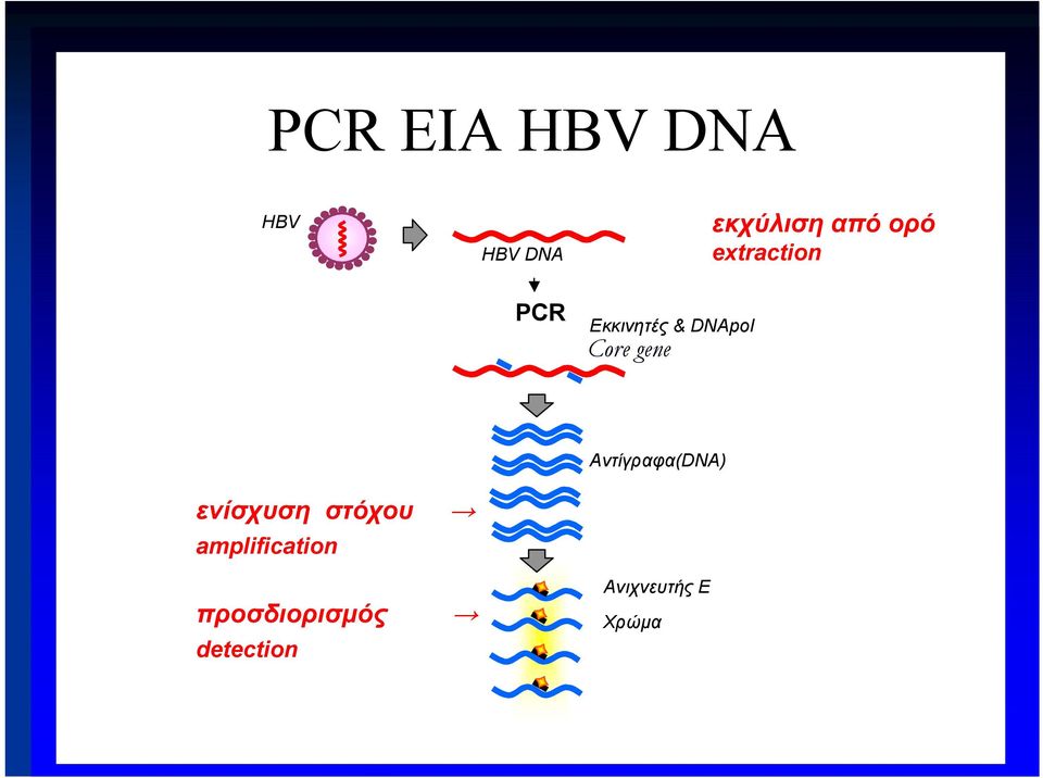 gene Αντίγραφα(DNA) ενίσχυση στόχου