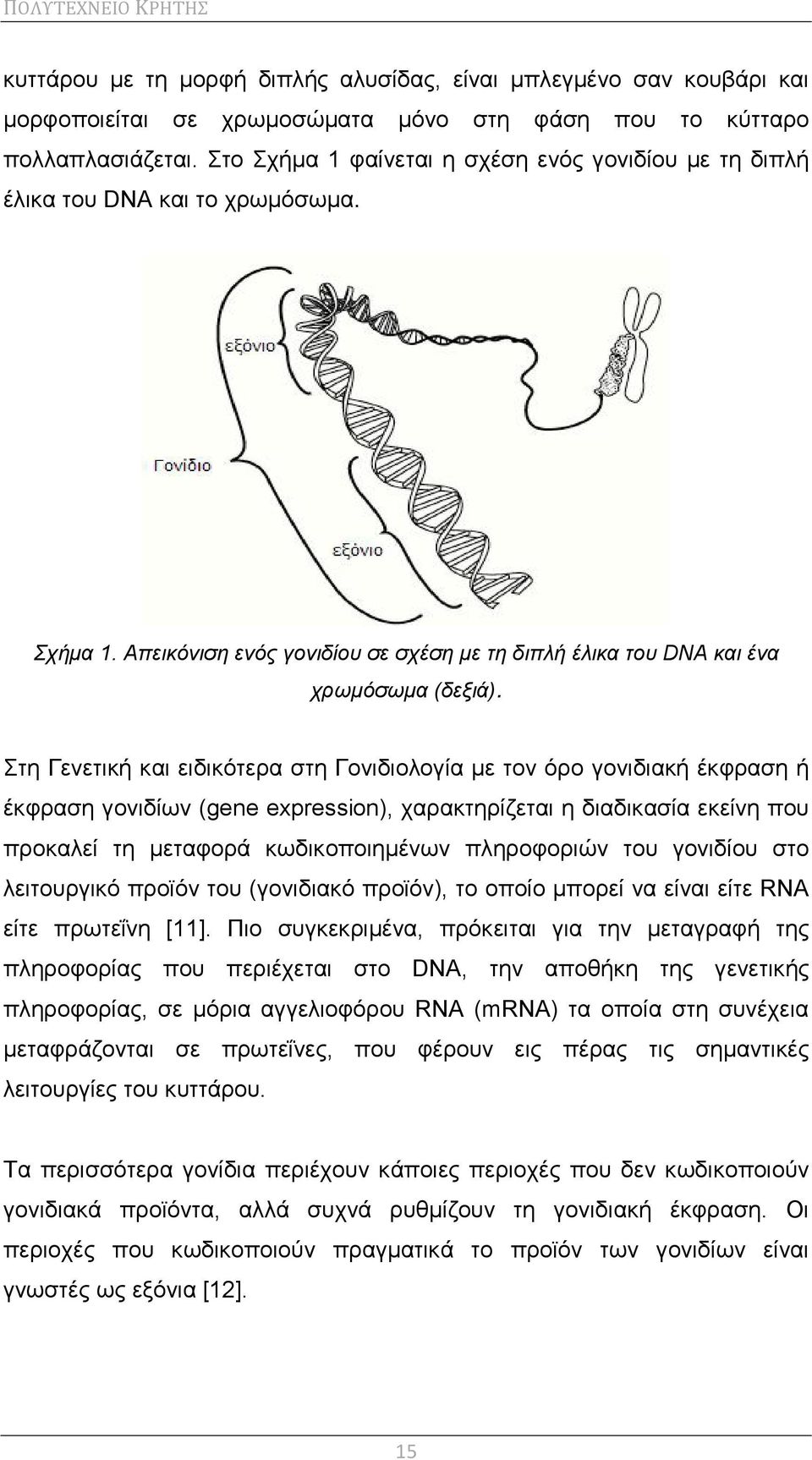 Στη Γενετική και ειδικότερα στη Γονιδιολογία με τον όρο γονιδιακή έκφραση ή έκφραση γονιδίων (gene expression), χαρακτηρίζεται η διαδικασία εκείνη που προκαλεί τη μεταφορά κωδικοποιημένων πληροφοριών