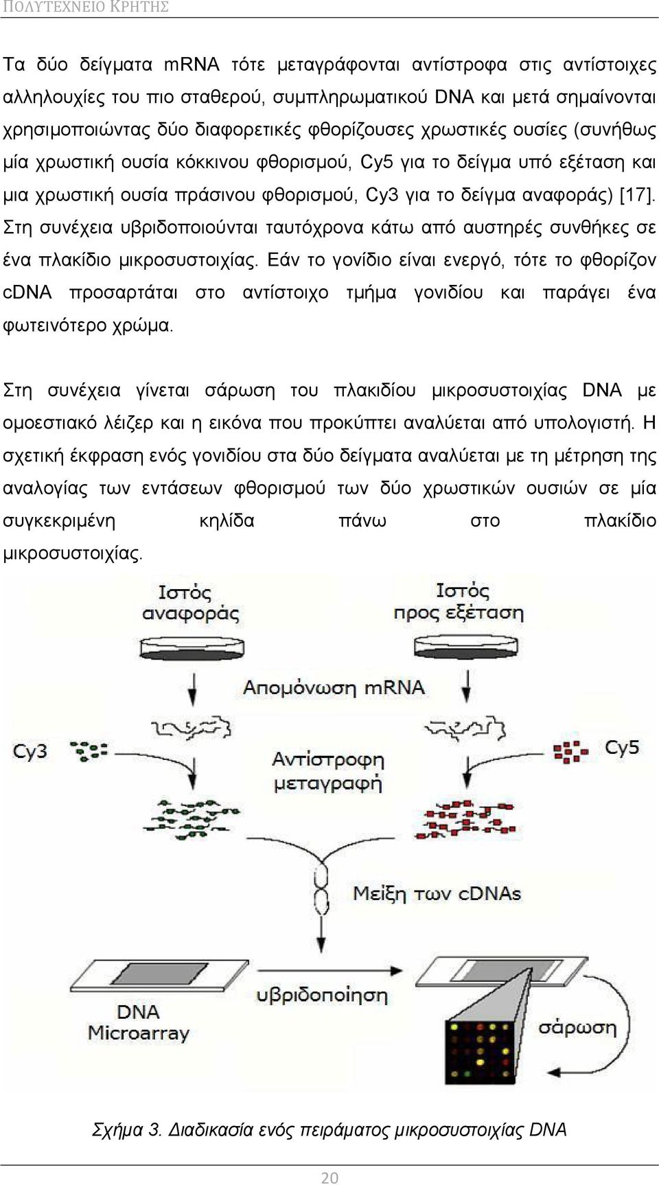 Στη συνέχεια υβριδοποιούνται ταυτόχρονα κάτω από αυστηρές συνθήκες σε ένα πλακίδιο μικροσυστοιχίας.