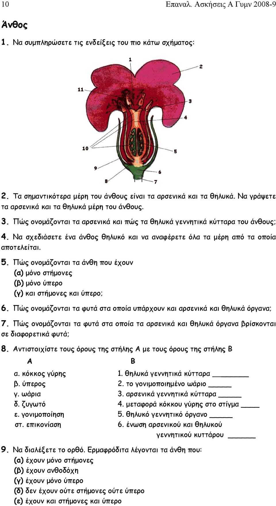 Να σχεδιάσετε ένα άνθος θηλυκό και να αναφέρετε όλα τα μέρη από τα οποία αποτελείται. 5. Πώς ονομάζονται τα άνθη που έχουν (α) μόνο στήμονες (β) μόνο ύπερο (γ) και στήμονες και ύπερο; 6.