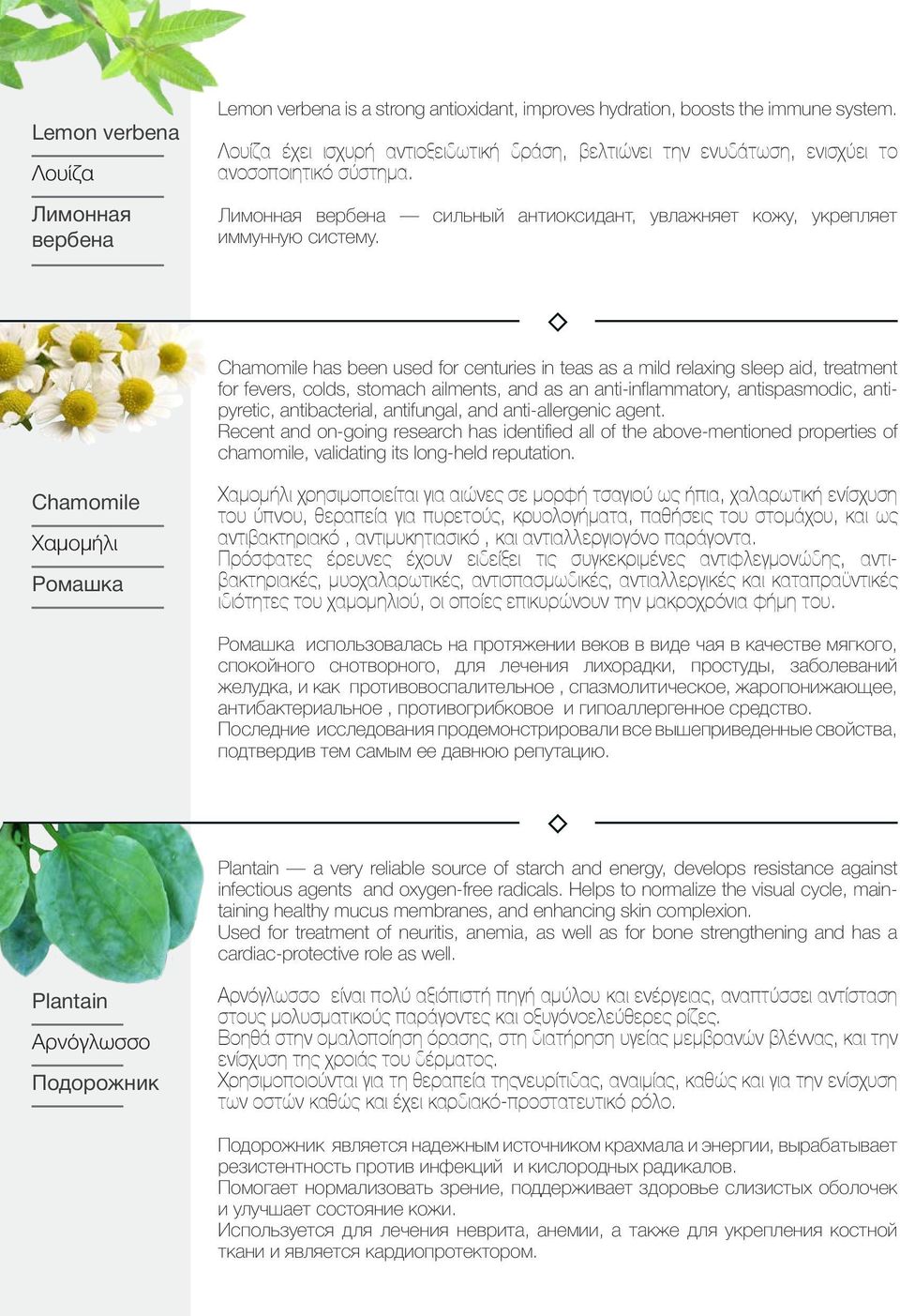 Chamomile has been used for centuries in teas as a mild relaxing sleep aid, treatment for fevers, colds, stomach ailments, and as an anti-inflammatory, antispasmodic, antipyretic, antibacterial,