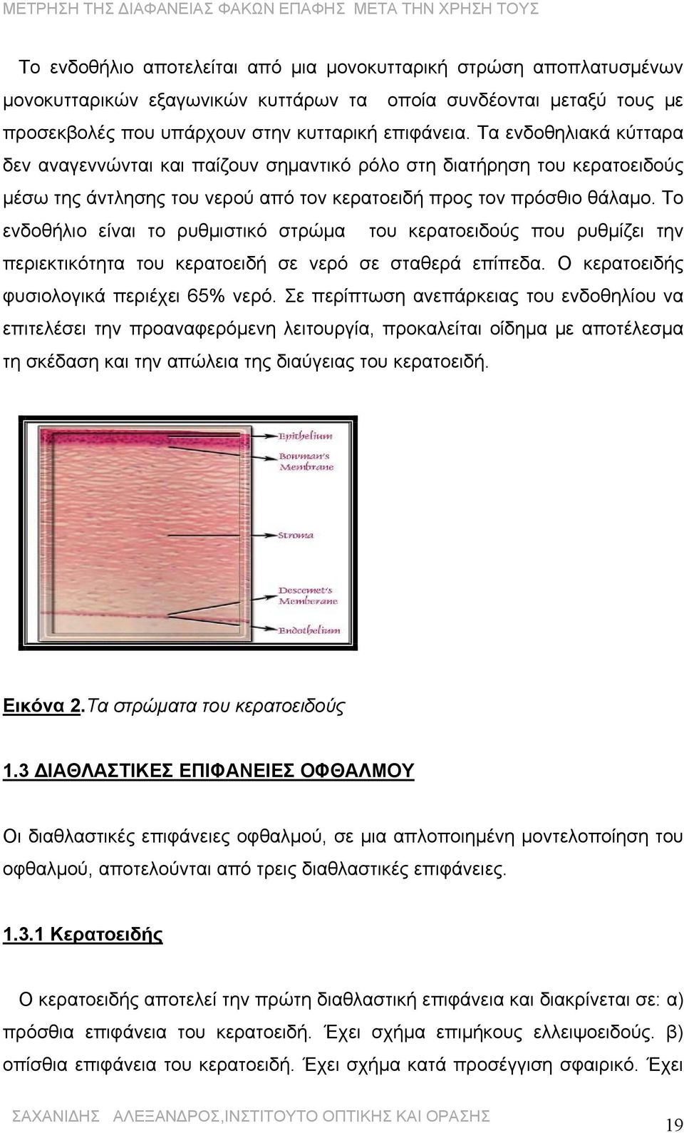 Το ενδοθήλιο είναι το ρυθμιστικό στρώμα του κερατοειδούς που ρυθμίζει την περιεκτικότητα του κερατοειδή σε νερό σε σταθερά επίπεδα. Ο κερατοειδής φυσιολογικά περιέχει 65% νερό.