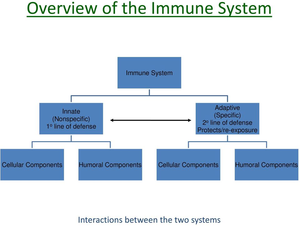 Protects/re-exposure Cellular Components Humoral Components