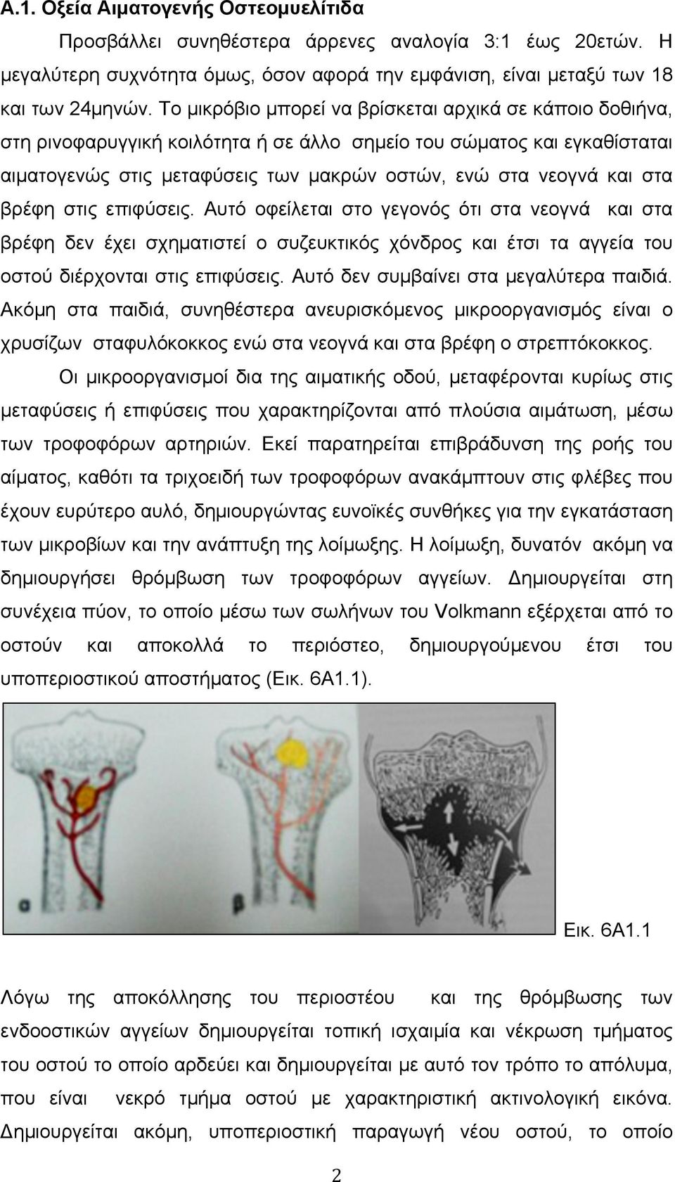 στα βρέφη στις επιφύσεις. Αυτό οφείλεται στο γεγονός ότι στα νεογνά και στα βρέφη δεν έχει σχηµατιστεί ο συζευκτικός χόνδρος και έτσι τα αγγεία του οστού διέρχονται στις επιφύσεις.