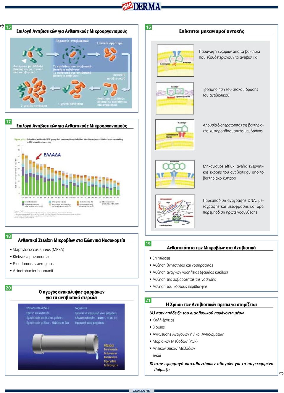 από το βακτηριακό κύτταρο Παρεμπόδιση αντιγραφής DNA, μεταγραφής και μετάφρασης και άρα παρεμπόδιση πρωτεϊνοσύνθεσης 18 20 Ανθεκτικά Στελέχη Μικροβίων στα Ελληνικά Νοσοκομεία Staphylococcus aureus