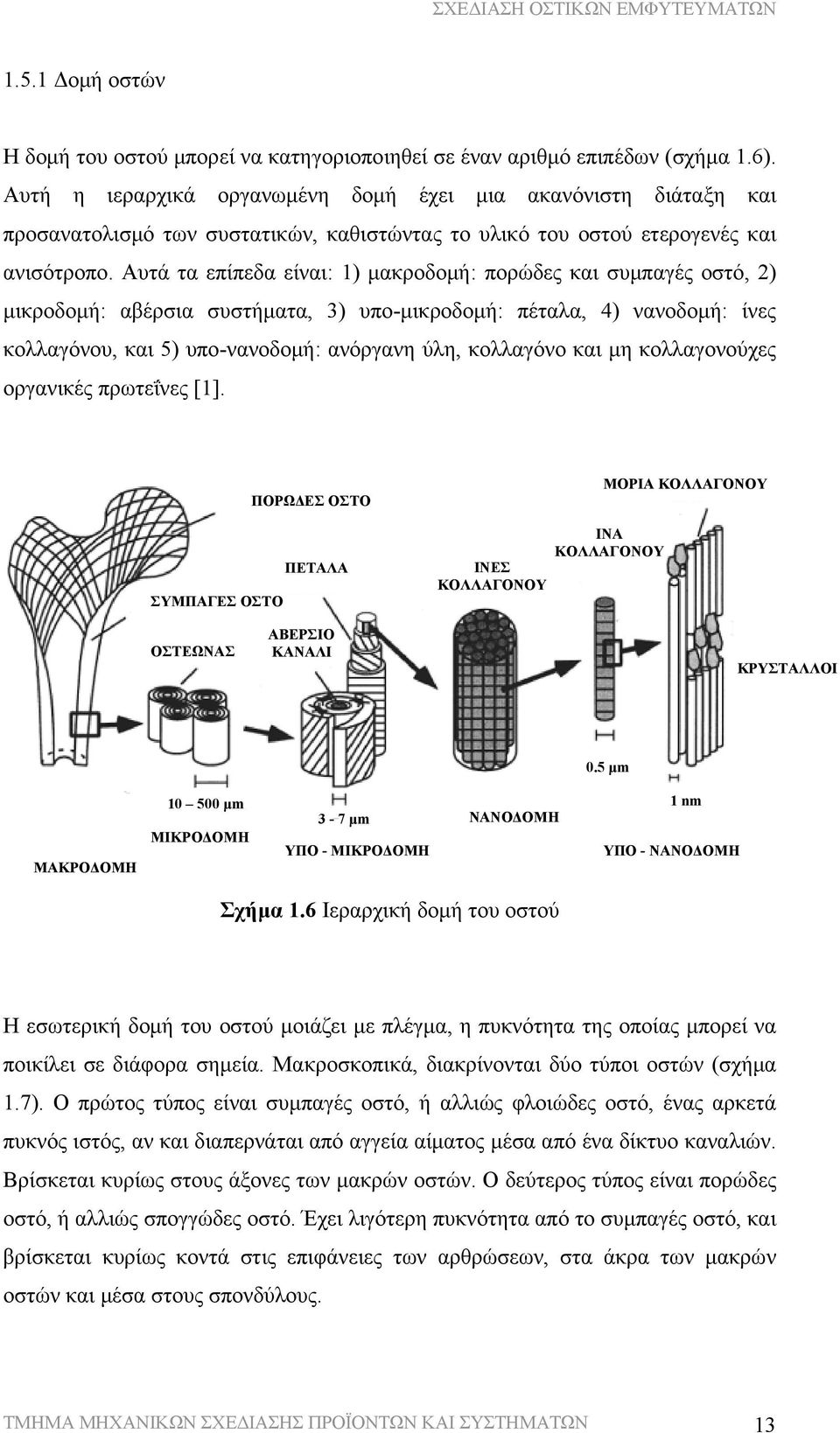 Αυτά τα επίπεδα είναι: 1) μακροδομή: πορώδες και συμπαγές οστό, 2) μικροδομή: αβέρσια συστήματα, 3) υπο-μικροδομή: πέταλα, 4) νανοδομή: ίνες κολλαγόνου, και 5) υπο-νανοδομή: ανόργανη ύλη, κολλαγόνο