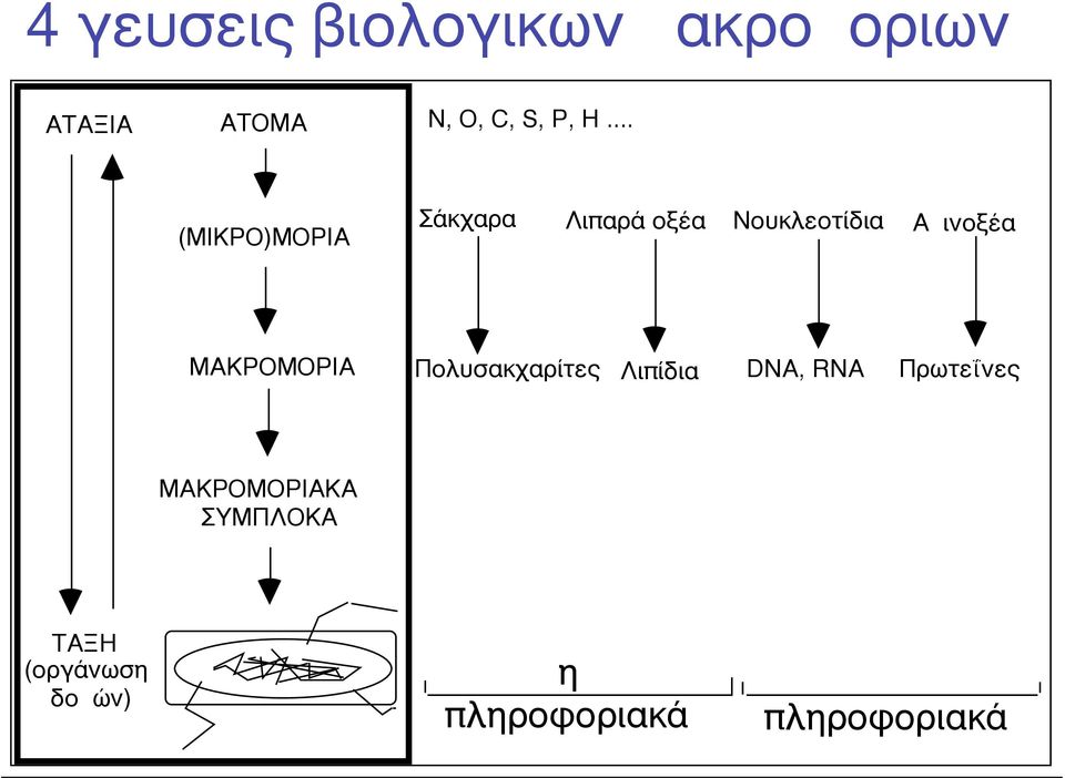 ΜΑΚΡΟΜΟΡΙΑ Πολυσακχαρίτες Λιπίδια DNA, RNA Πρωτεΐνες