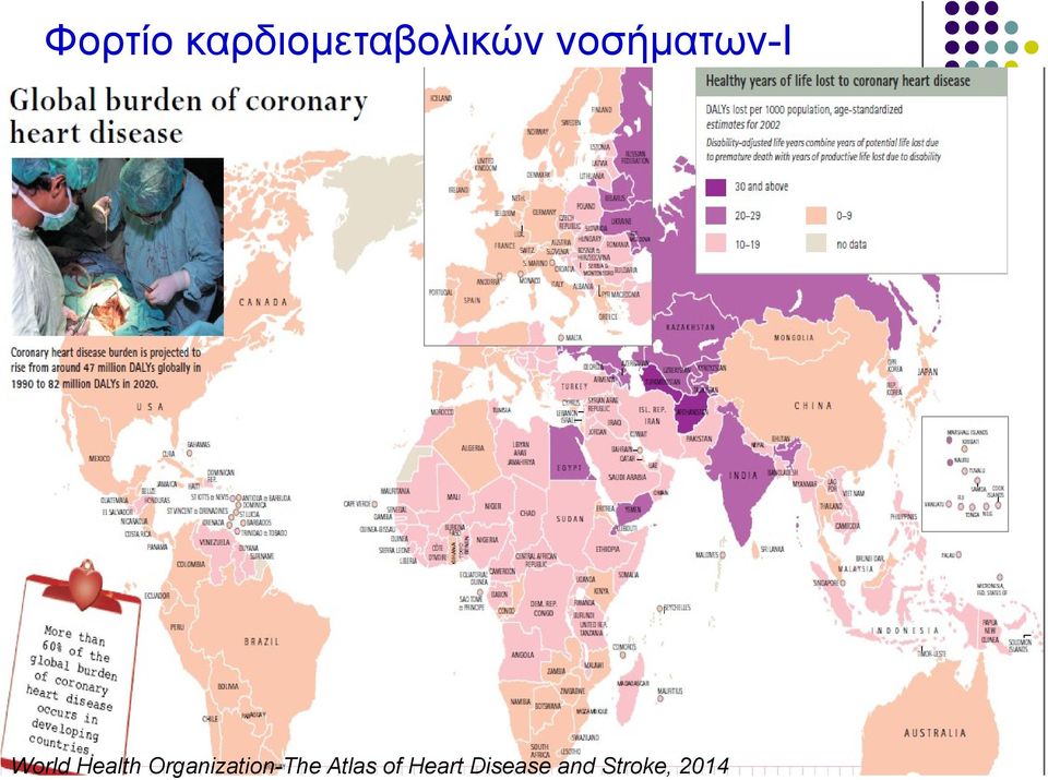 Organization-The Atlas of