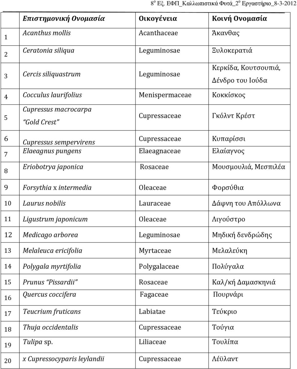 Μουσμουλιά, Μεσπιλέα 9 Forsythia x intermedia Oleaceae Φορσύθια 10 Laurus nobilis Lauraceae Δάφνη του Απόλλωνα 11 Ligustrum japonicum Oleaceae Λιγούστρο 12 Medicago arborea Leguminosae Μηδική