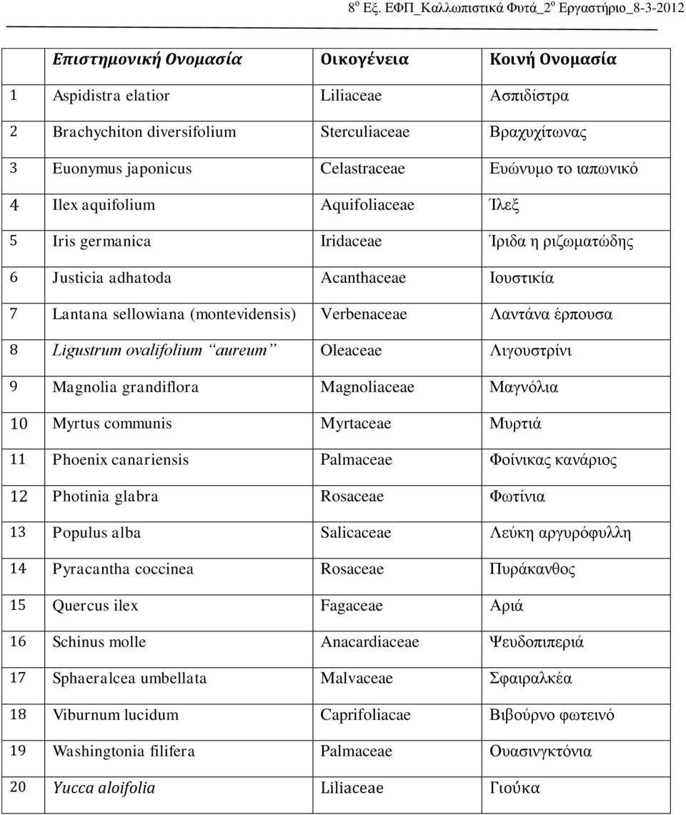 9 Magnolia grandiflora Magnoliaceae Μαγνόλια 10 Myrtus communis Myrtaceae Μυρτιά 11 Phoenix canariensis Palmaceae Φοίνικας κανάριος 12 Photinia glabra Rosaceae Φωτίνια 13 Populus alba Salicaceae