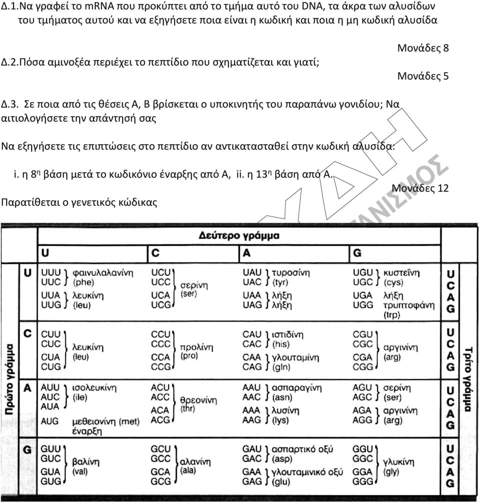 Σε ποια από τις θέσεις Α, Β βρίσκεται ο υποκινητής του παραπάνω γονιδίου; Να αιτιολογήσετε την απάντησή σας Να εξηγήσετε τις επιπτώσεις στο