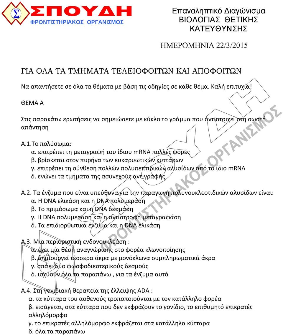 επιτρέπει τη μεταγραφή του ίδιου mrna πολλές φορές β. βρίσκεται στον πυρήνα των ευκαρυωτικών κυττάρων γ. επιτρέπει τη σύνθεση πολλών πολυπεπτιδικών αλυσίδων από το ίδιο mrna δ.