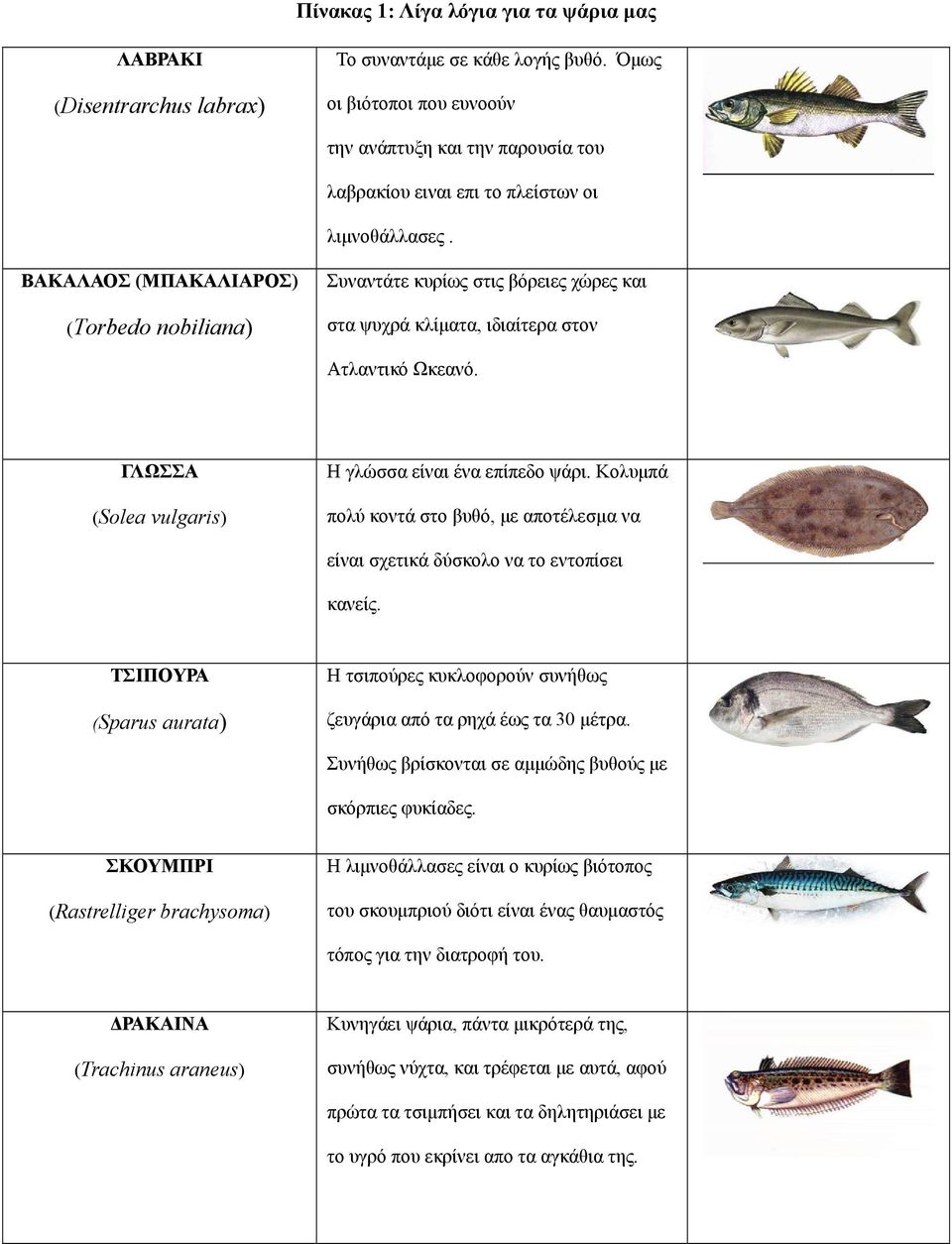 ΒΑΚΑΛΑΟΣ (ΜΠΑΚΑΛΙΑΡΟΣ) (Τorbedo nobiliana) Συναντάτε κυρίως στις βόρειες χώρες και στα ψυχρά κλίματα, ιδιαίτερα στον Ατλαντικό Ωκεανό. ΓΛΩΣΣΑ (Solea vulgaris) Η γλώσσα είναι ένα επίπεδο ψάρι.