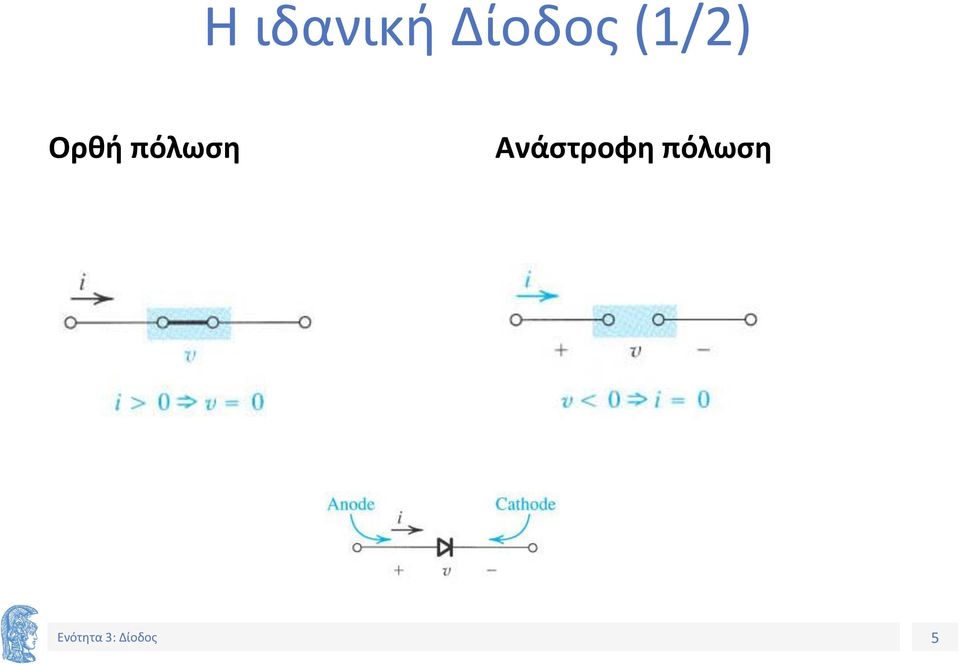 Ορθή πόλωση