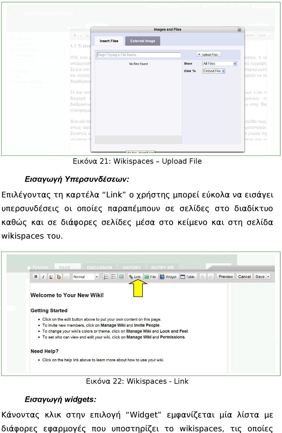 σελίδες μέσα στο κείμενο και στη σελίδα wikispaces του.