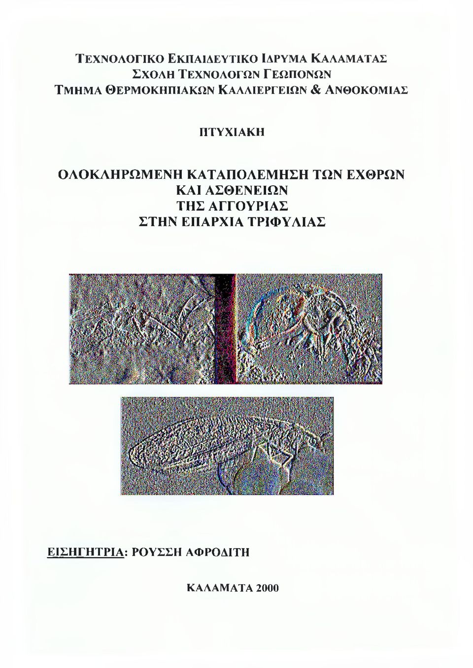 & ΑΝΘΟΚΟΜΙΑΣ ΠΤΥΧΙΑΚΗ ΟΛΟΚΛΗΡΩΜΕΝΗ ΚΑΤΑΠΟΛΕΜΗΣΗ ΤΩΝ ΕΧΘΡΩΝ ΚΑΙ ΑΣΘΕΝΕΙΩΝ