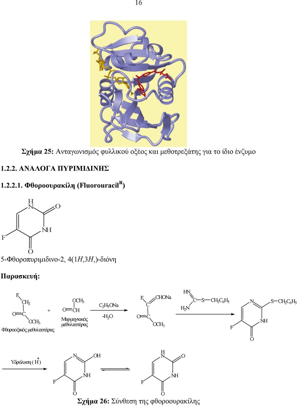 Φθοροουρακίλη (Fluorouracil R ) F 5-Φθοροπυριμιδινο-2, 4(1Η,3Η,)-διόνη Παρασκευή: F C 2 C 3