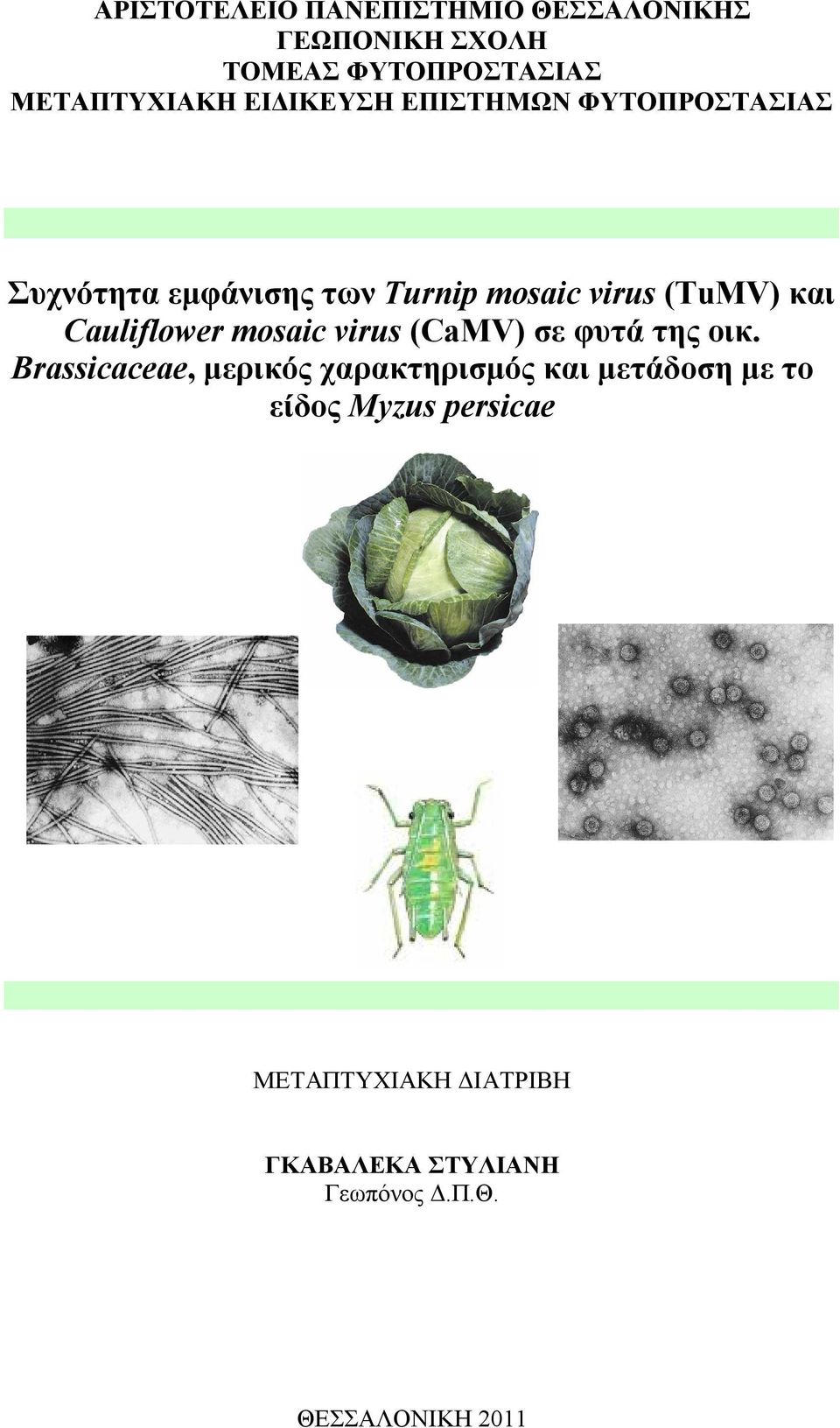Cauliflower mosaic virus (CaMV) σε φυτά της οικ.