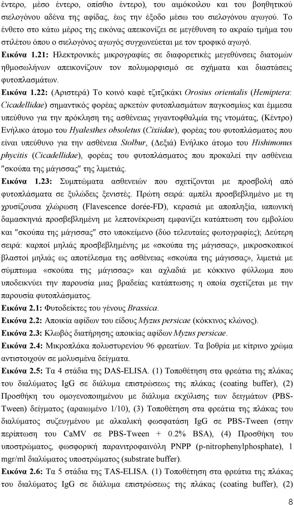 21: Ηλεκτρονικές μικρογραφίες σε διαφορετικές μεγεθύνσεις διατομών ηθμοσωλήνων απεικονίζουν τον πολυμορφισμό σε σχήματα και διαστάσεις φυτοπλασμάτων. Εικόνα 1.