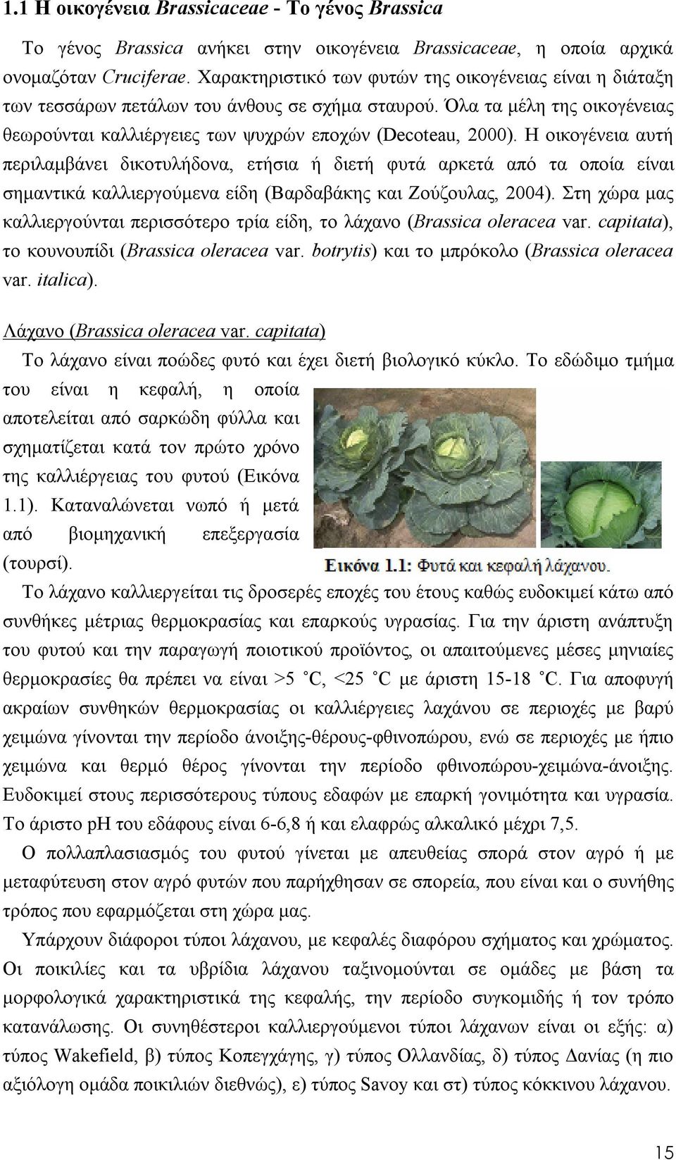 Η οικογένεια αυτή περιλαμβάνει δικοτυλήδονα, ετήσια ή διετή φυτά αρκετά από τα οποία είναι σημαντικά καλλιεργούμενα είδη (Βαρδαβάκης και Ζούζουλας, 2004).