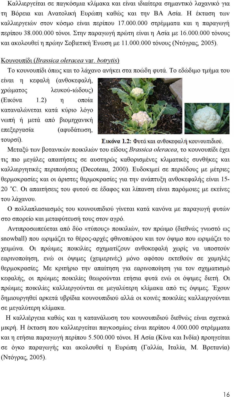 Κουνουπίδι (Brassica oleracea var. botrytis) Το κουνουπίδι όπως και το λάχανο ανήκει στα ποώδη φυτά. Το εδώδιμο τμήμα του είναι η κεφαλή (ανθοκεφαλή, χρώματος λευκού-ιώδους) (Εικόνα 1.