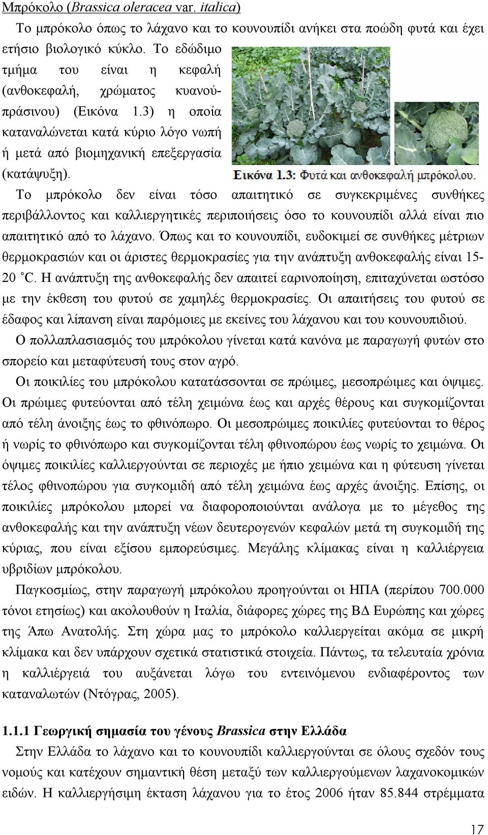 Το μπρόκολο δεν είναι τόσο απαιτητικό σε συγκεκριμένες συνθήκες περιβάλλοντος και καλλιεργητικές περιποιήσεις όσο το κουνουπίδι αλλά είναι πιο απαιτητικό από το λάχανο.