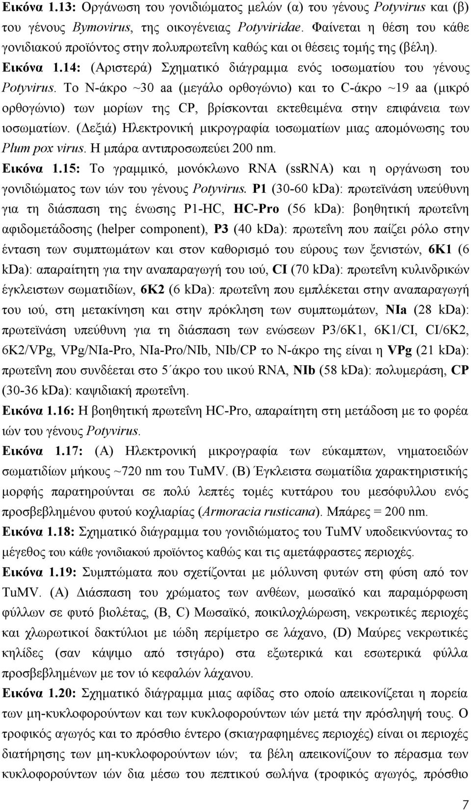 Το N-άκρο ~30 aa (μεγάλο ορθογώνιο) και το C-άκρο ~19 aa (μικρό ορθογώνιο) των μορίων της CP, βρίσκονται εκτεθειμένα στην επιφάνεια των ιοσωματίων.