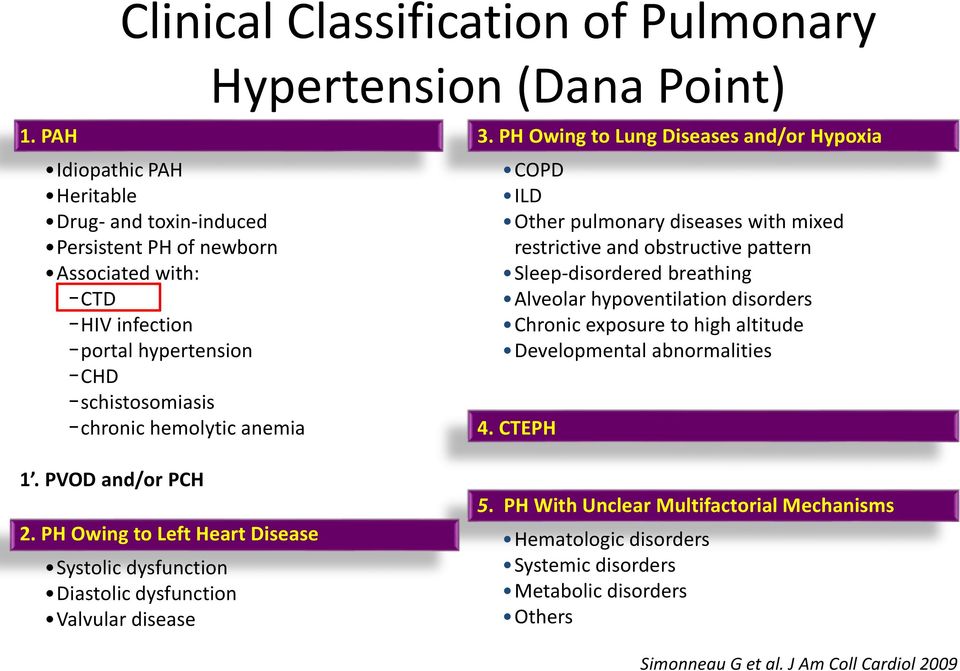 PH Owing to Lung Diseases and/or Hypoxia COPD ILD Other pulmonary diseases with mixed restrictive and obstructive pattern Sleep-disordered breathing Alveolar hypoventilation disorders Chronic