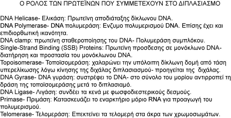 Single-Strand Binding (SSB) Proteins: Πρωτεϊνη προσδεσης σε μονόκλωνο DNAδιατήρηση και προστασία του μονόκλωνου DNA.