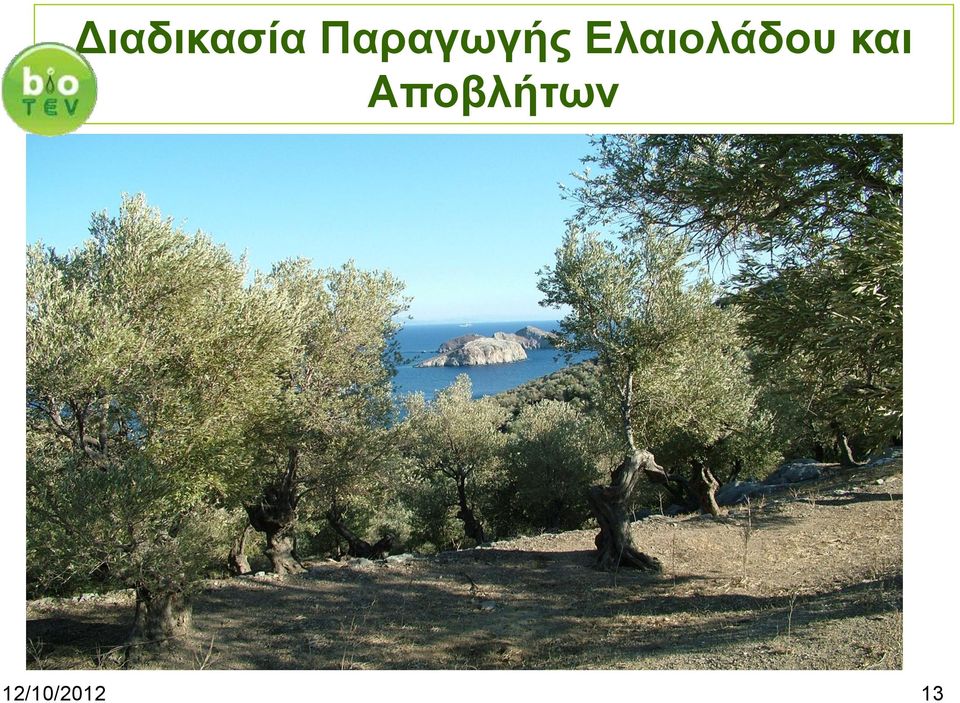 Ελαιολάδου και