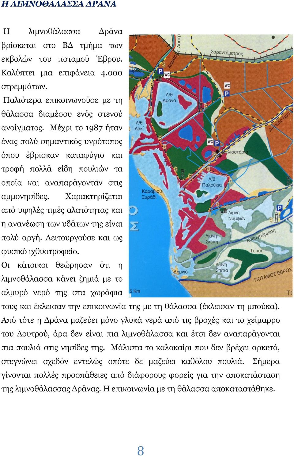 Μέχρι το 1987 ήταν ένας πολύ σημαντικός υγρότοπος όπου έβρισκαν καταφύγιο και τροφή πολλά είδη πουλιών τα οποία και αναπαράγονταν στις αμμονησίδες.