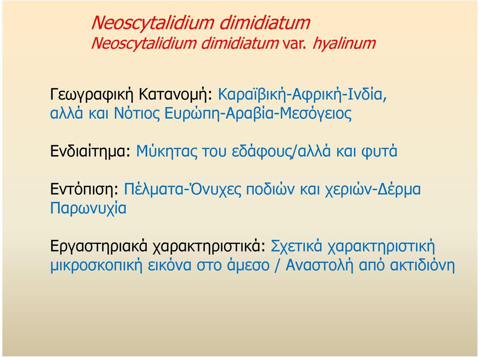 Ευρώπη-Αραβία-Μεσόγειος Ενδιαίτημα: Μύκητας του εδάφους/αλλά και φυτά Εντόπιση: