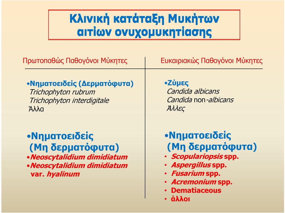 non-albicans Άλλες ΝηματοειδείςΝ δ ί (Μη δερματόφυτα) Neoscytalidium d u dimidiatum d Neoscytalidium dimidiatum var.