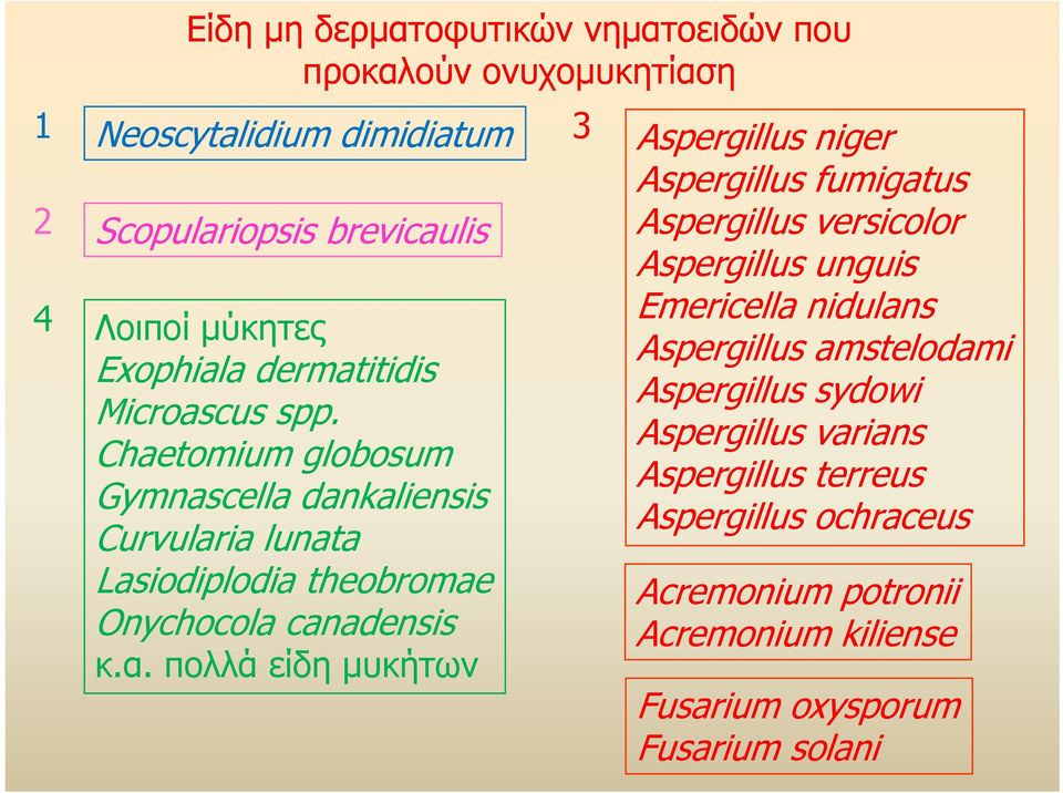 Chaetomium globosum Gymnascella dankaliensis Curvularia lunata Lasiodiplodia theobromae Onychocola canadensis κ.α.