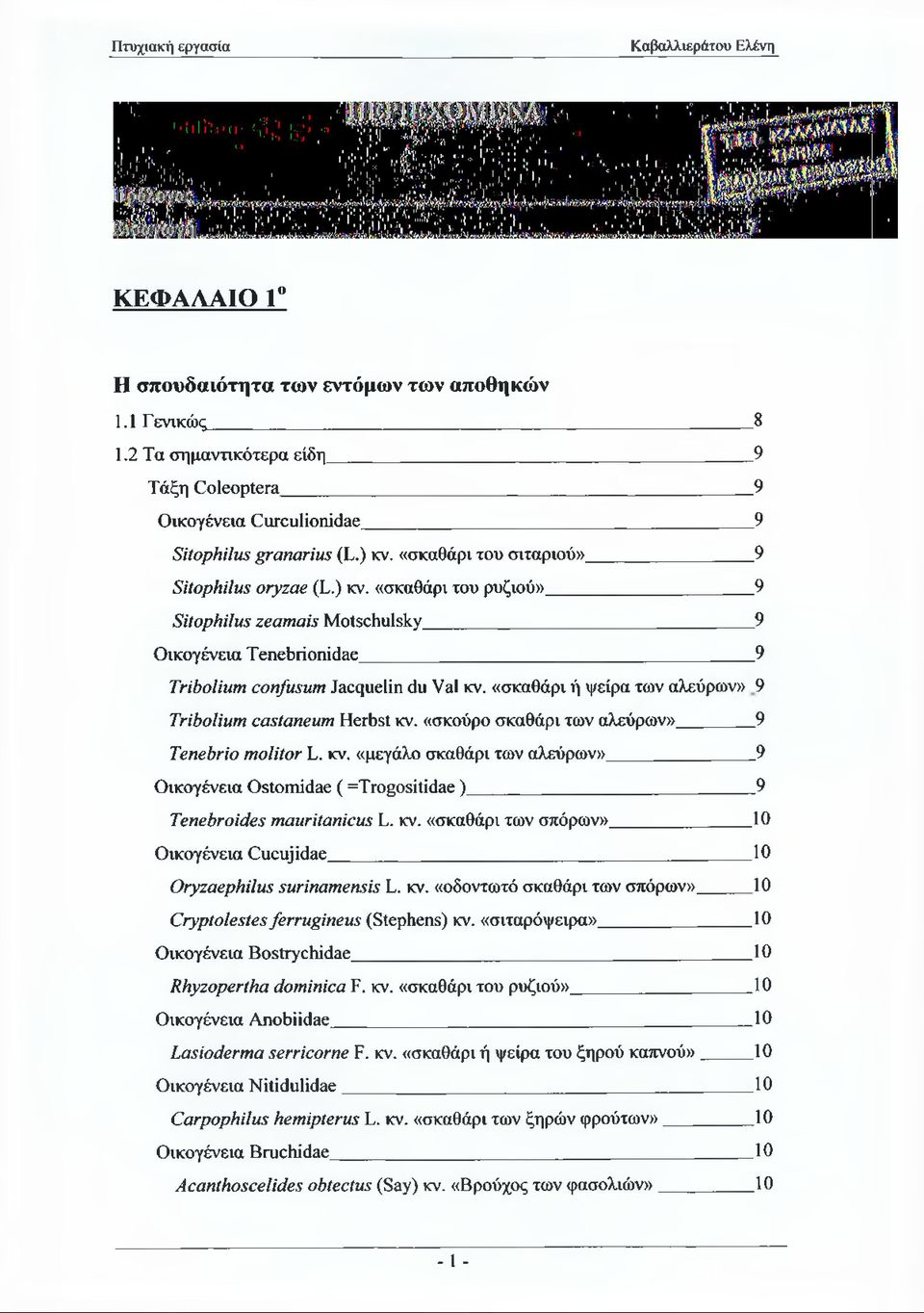 «σκαθάρι ή ψείρα των αλεύρων» 9 Tribolium castaneum Herbst κν. «σκούρο σκαθάρι των αλεύρων» 9 Tenebrio molitor L. κν. «μεγάλο σκαθάρι των αλεύρων» 9 Οικογένεια Ostomidae ( =Trogositidae) 9 Tenebroides mauritanicus L.