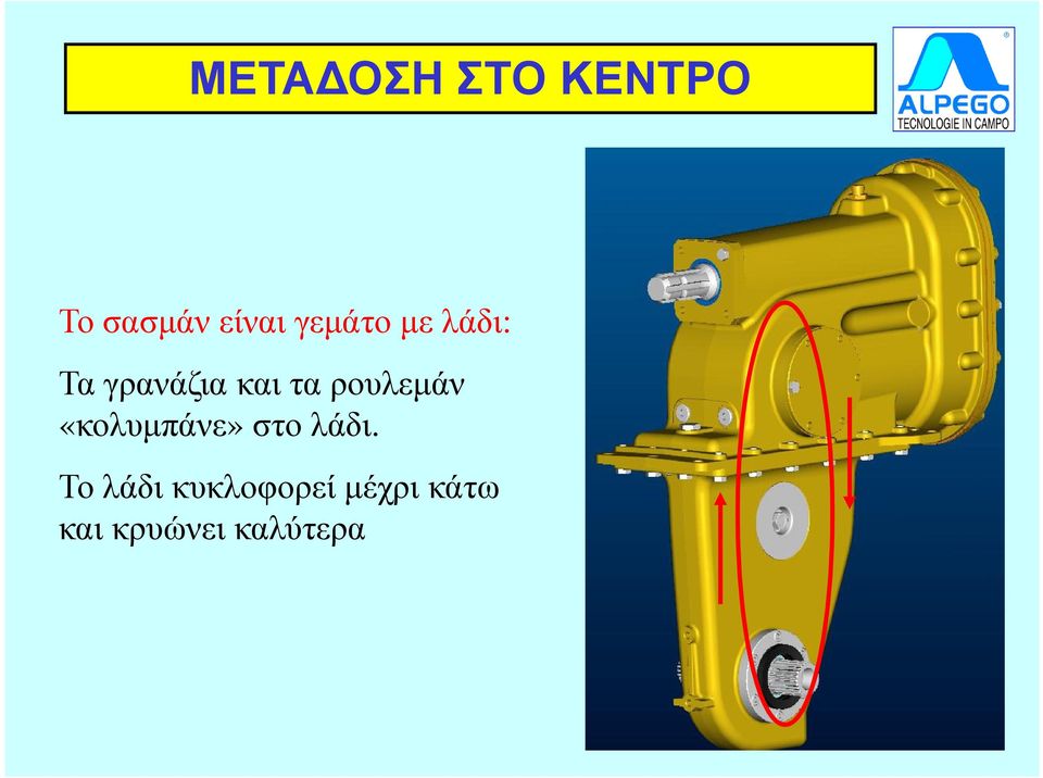 ρουλεµάν «κολυµπάνε» στο λάδι.