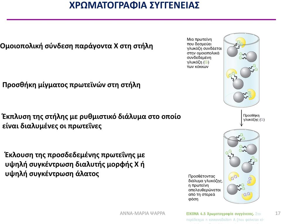 οποίο είναι διαλυμένες οι πρωτεΐνες Έκλουση της προσδεδεμένης πρωτεΐνης με