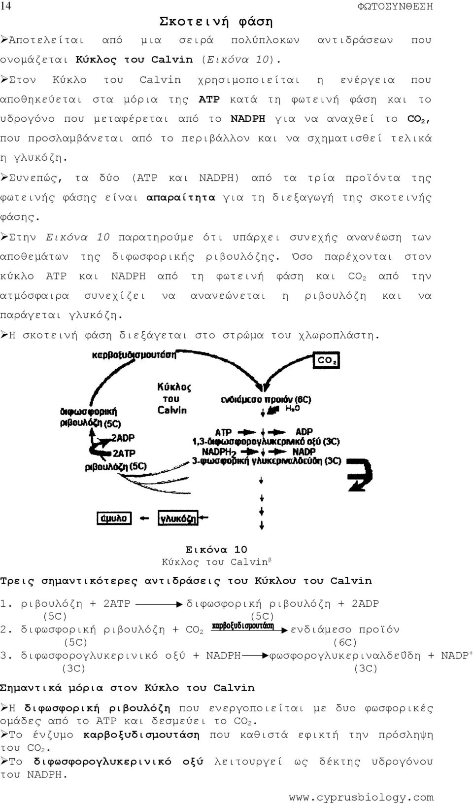 Συνεπώς, τα δύο (ΑΤΡ NADPH) τα τρία προϊόντα φωτεινής φάσης είναι απαραίτα για διεξαγωγή σκοτεινής φάσης. Σ Εικόνα 10 παραρούμε ότι υπάρχει συνεχής ανανέωση των αποθεμάτων διφωσφορικής ριβoυλόζης.