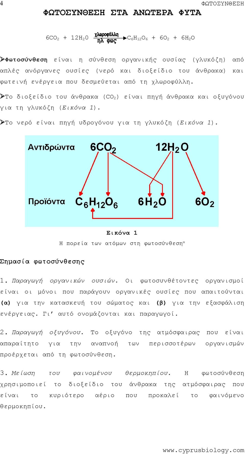 Παραγωγή οργανικών ουσιών. Οι φωσυνθέντες οργανισμοί είναι οι μόνοι παράγουν οργανικές ουσίες απαιύνται (α) για κατασκευή υ σώμας (β) για εξασφάλιση ενέργειας. Γι αυτό ονομάζονται παραγωγοί. 2.