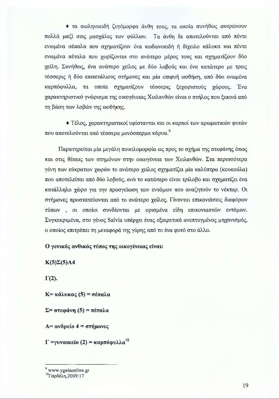 Συνήθως, ένα ανώτερο χείλος με δύο λοβούς και ένα κατώτερο με τρεις τέσσερις ή δύο επιπετάλιους στήμονες και μία επιφυή ωοθήκη, από δύο ενωμένα καρπόφυλλα, τα οποία σχηματίζουν τέσσερις ξεχωριστούς