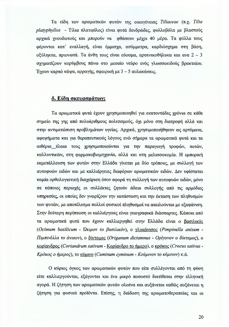 Τα άνθη τους είναι εύοσμα, αρσενικοθήλυκα και ανα 2-3 σχηματίζουν κορύμβους πάνω στο μεσαίο νεύρο ενός γλωσσοειδούς βρακτείου. Έχουν καρπό κάψα, αρραγής, σφαιρική με 3-5 αυλακώσεις. δ.
