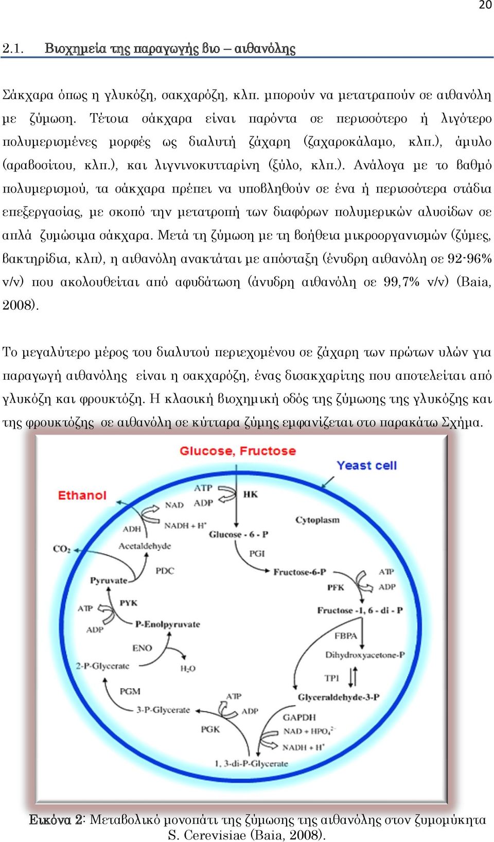 άμυλο (αραβοσίτου, κλπ.),