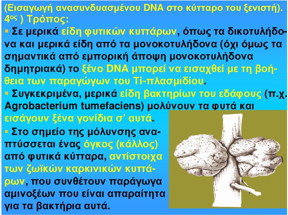 µονοκοτυλήδονα δηµητριακά) το ξένο DNA µπορεί να εισαχθεί µε τη βοήθειατωνπαραγώγωντουτi-πλασµιδίου. Συγκεκριµένα, µερικάείδηβακτηρίωντουεδάφους (π.χ. Agrobacterium tumefaciens) µολύνουν τα φυτά και εισάγουνξέναγονίδιασ αυτά.